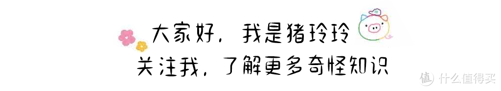 Switch大气层系统插件进入方式，除了相册还有很多方式可选哦