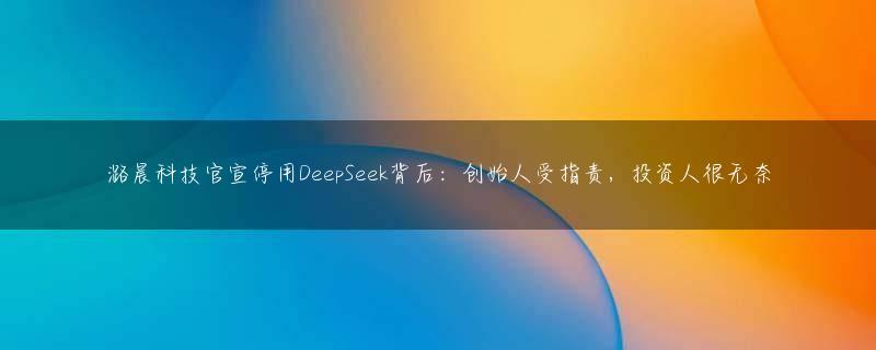 潞晨科技官宣停用DeepSeek背后：创始人受指责，投资人很无奈