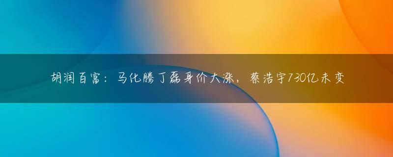 胡润百富：马化腾丁磊身价大涨，蔡浩宇730亿未变