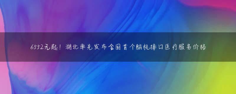 6552元起！湖北率先发布全国首个脑机接口医疗服务价格